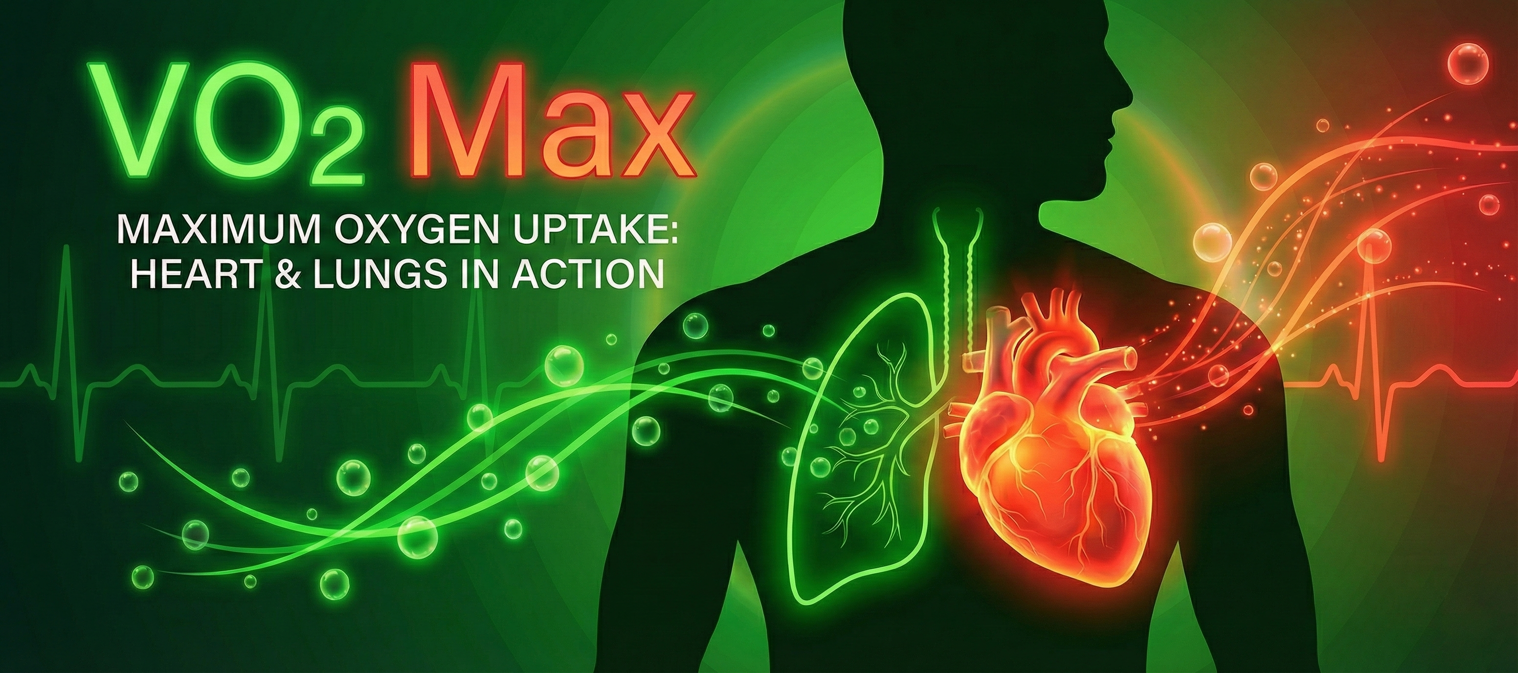 Why VO2Max is the Only Metric That Truly Matters